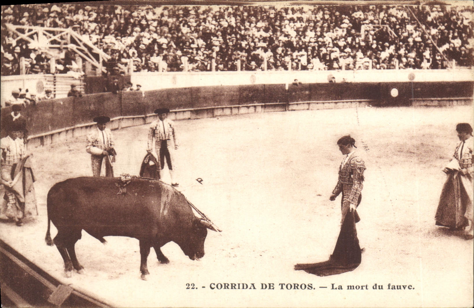 CPA Corrida Course de taureaux La mort du fauve 