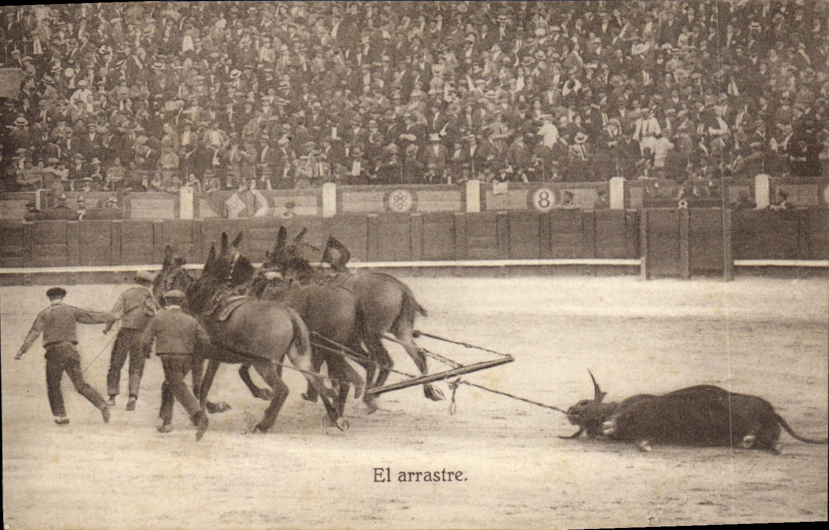 CPA Corrida Course de taureaux El arrastre