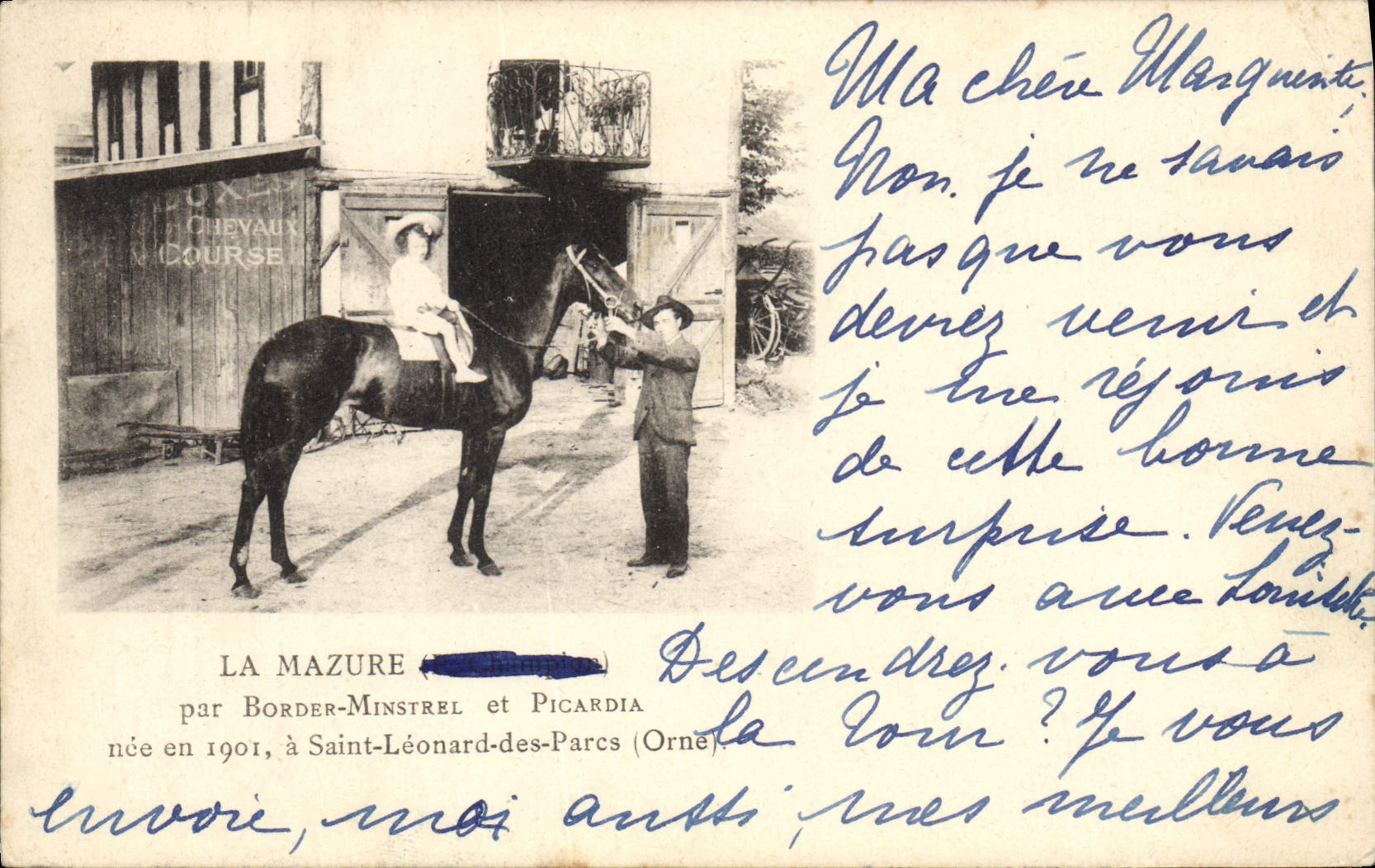 CPA Cheval Equitation Hippisme La Mazure par Border Minstrel et Picardia nee en 1901 a Saint Leonard des Parcs Orne