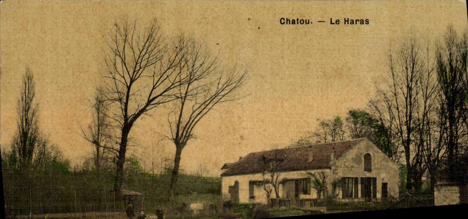 CPA Cheval Equitation Hippisme Chatou Le haras (carte toilee)