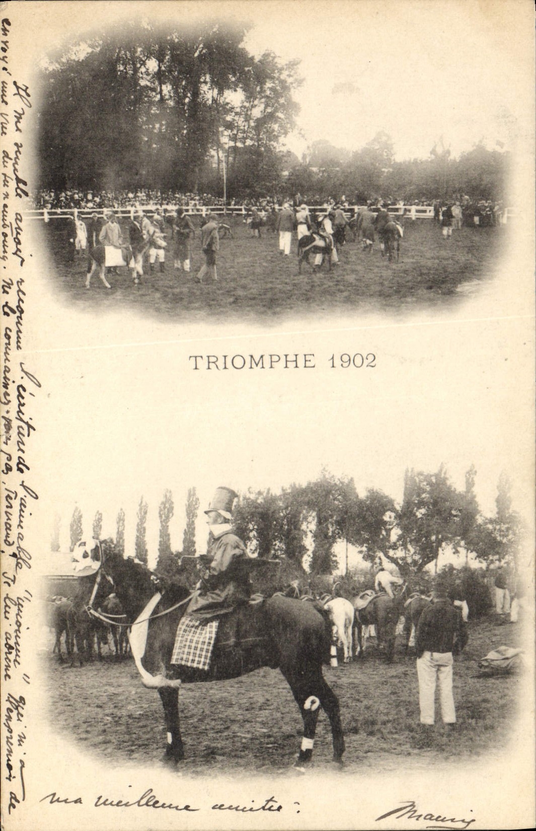 CPA Cheval Equitation Hippisme Triomphe 1902 TOP