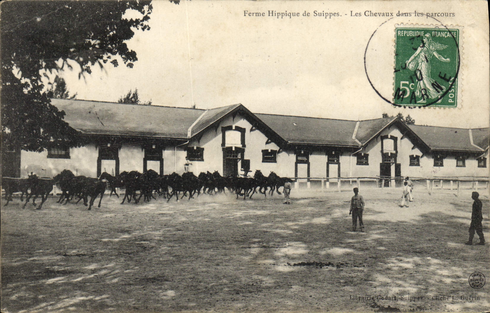 CPA Cheval Equitation Hippisme Ferme Hippique de Suippes Les chevaux dans les parcours 