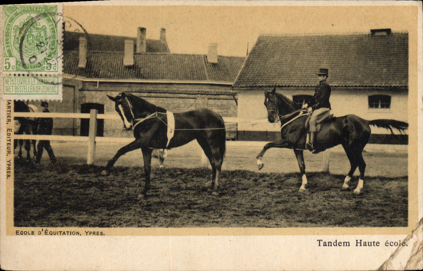 Postal Caballo Equitación Hípica Escuela de equitación Ypres Tándem alta escuela
