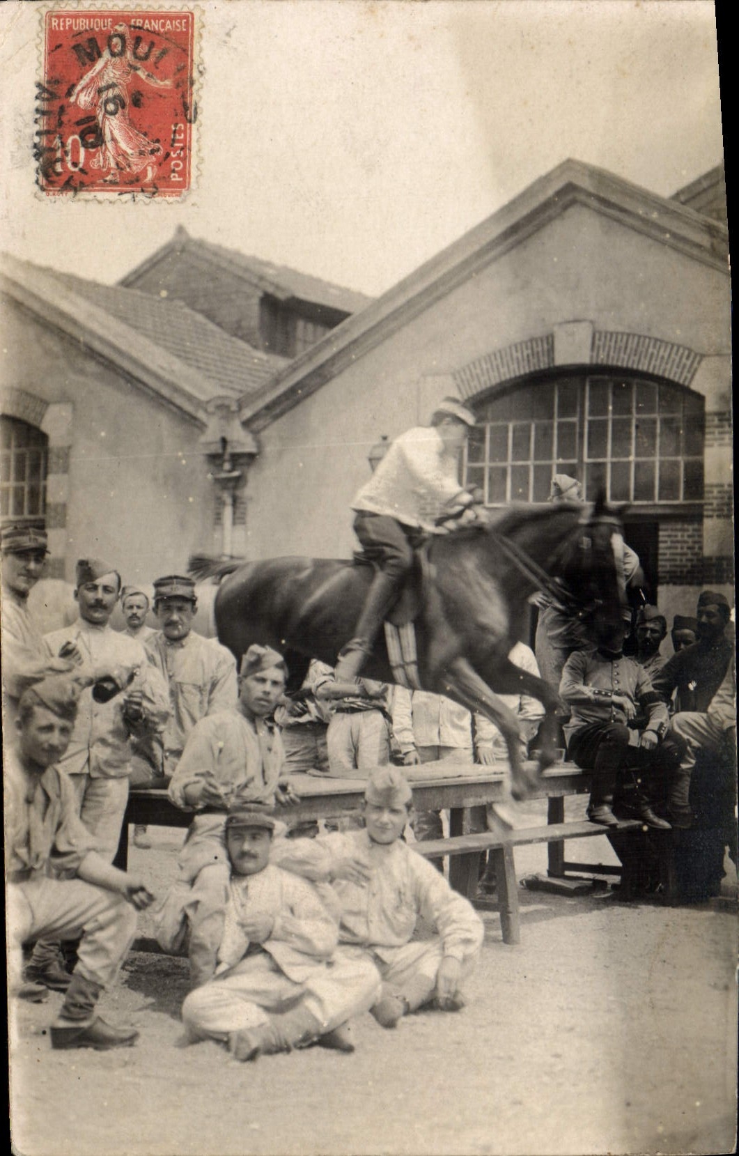 CARTE PHOTO Cheval Equitation Hippisme 