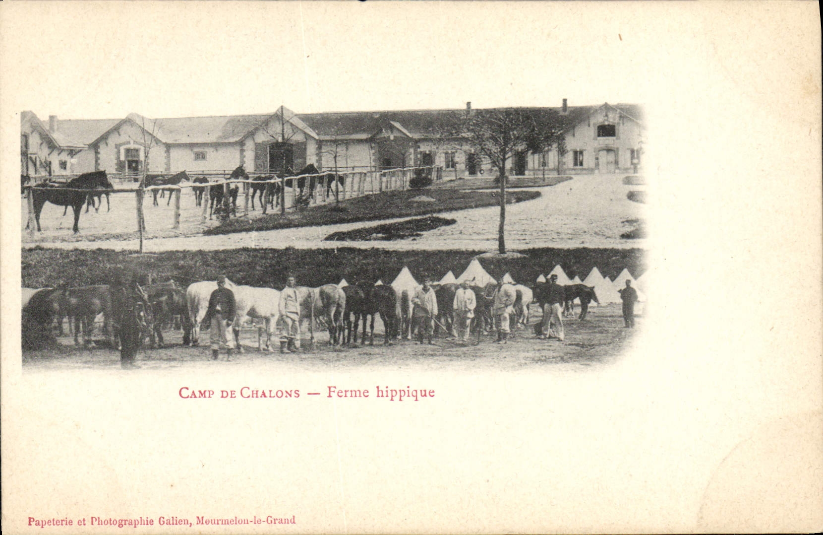 CPA Cheval Equitation Hippisme Camp de Chalons Ferme hippique