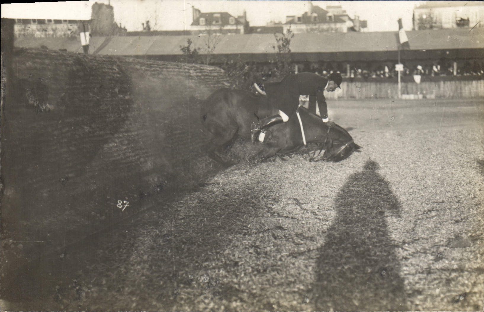 CARTE PHOTO Cheval Equitation Hippisme 