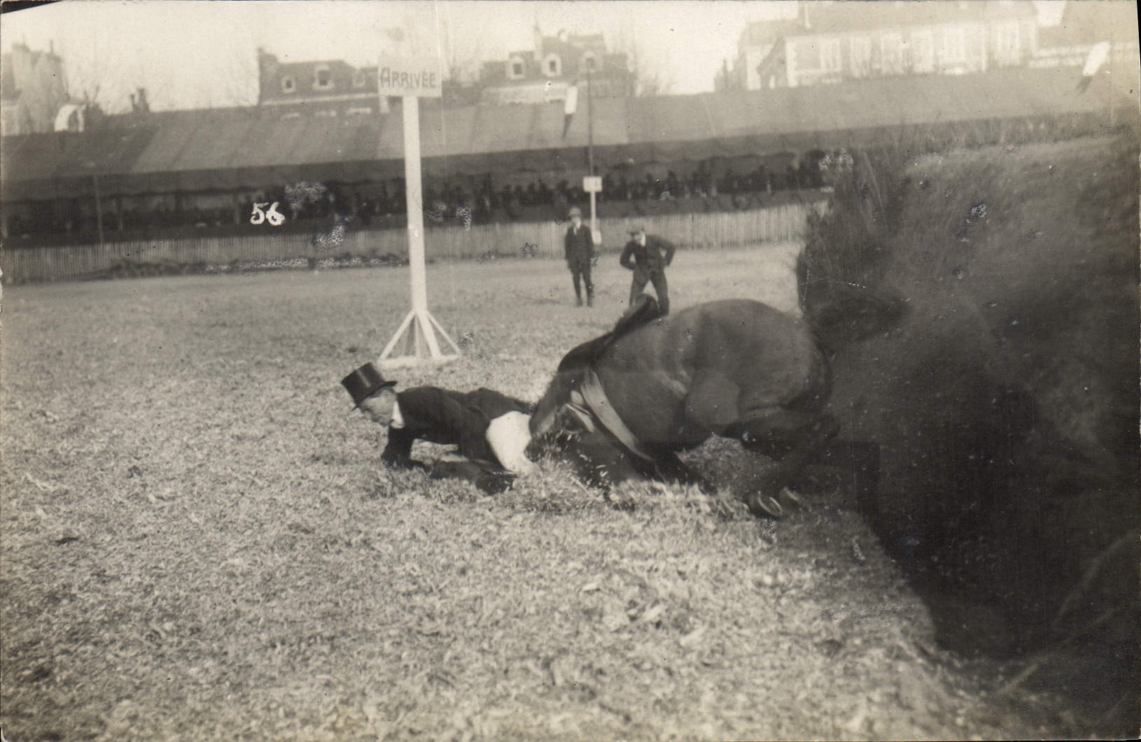 CARTE PHOTO Cheval Equitation Hippisme 
