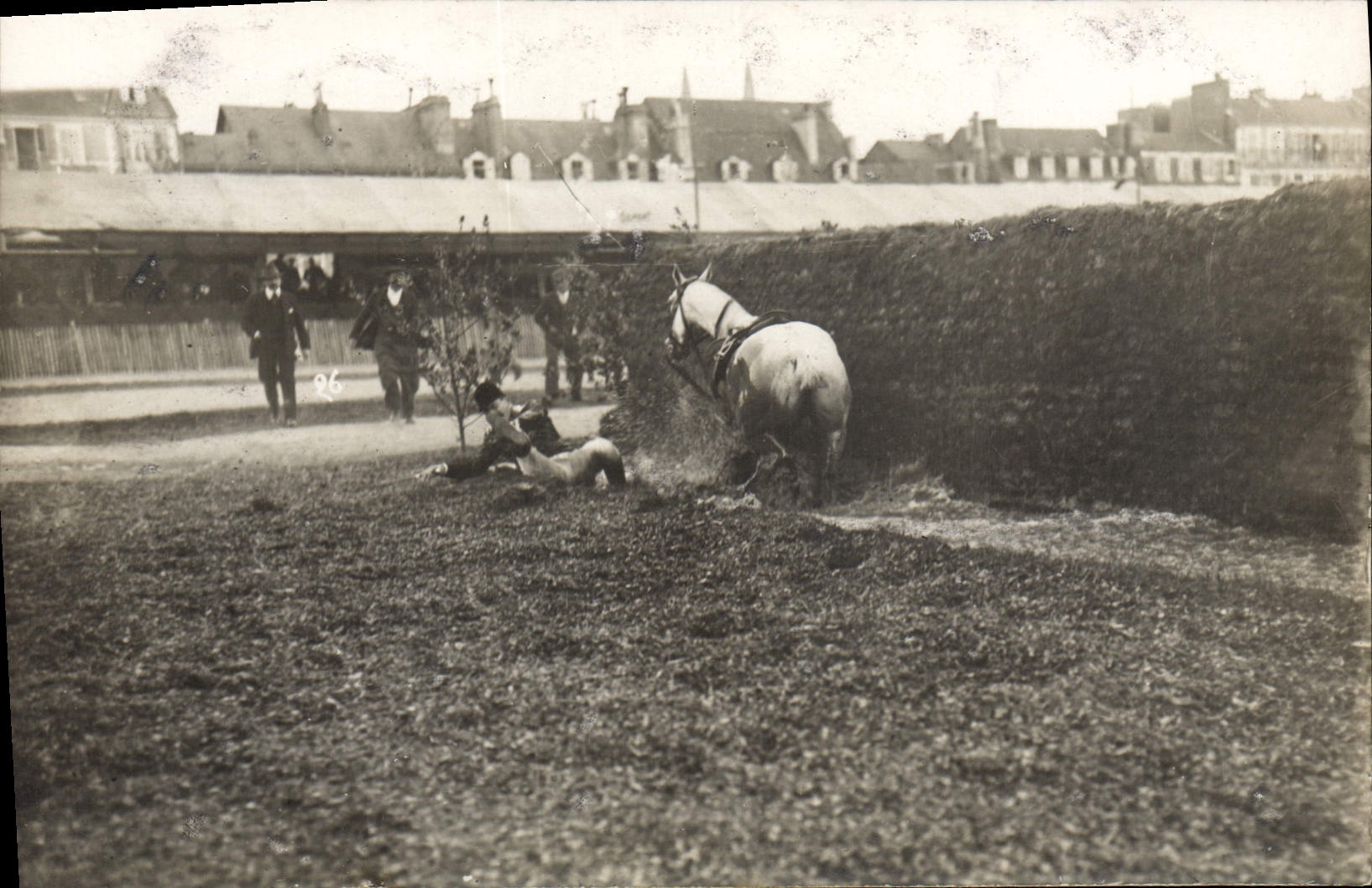 CARTE PHOTO Cheval Equitation Hippisme 