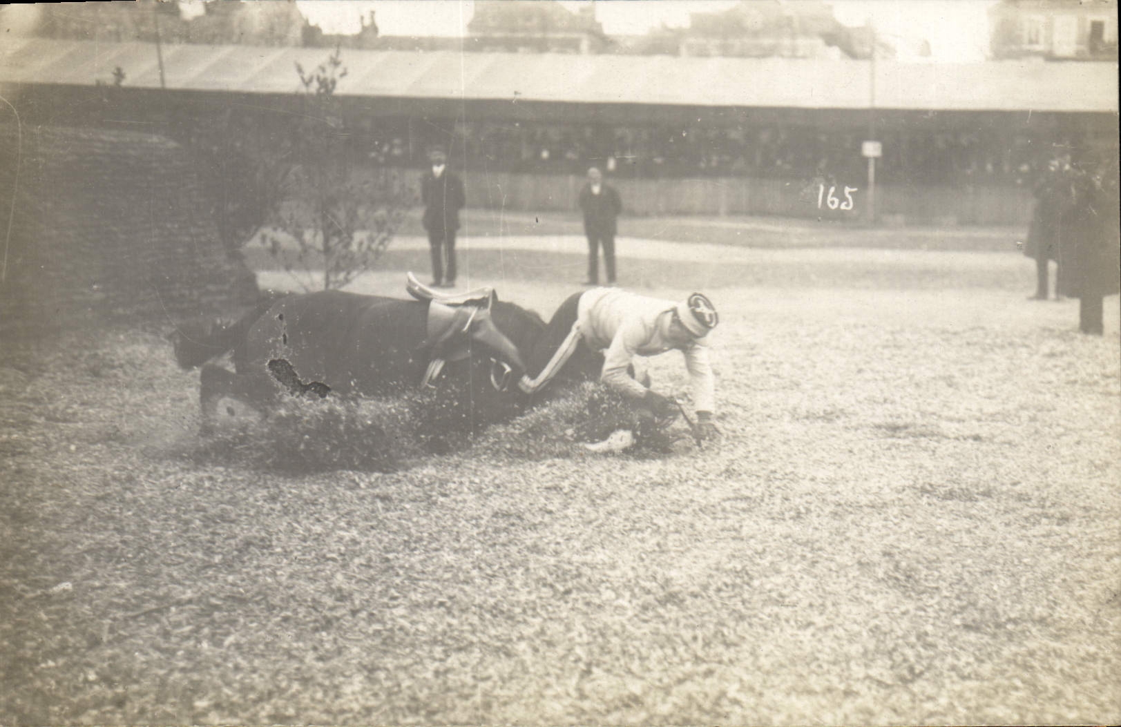 CARTE PHOTO Cheval Equitation Hippisme 