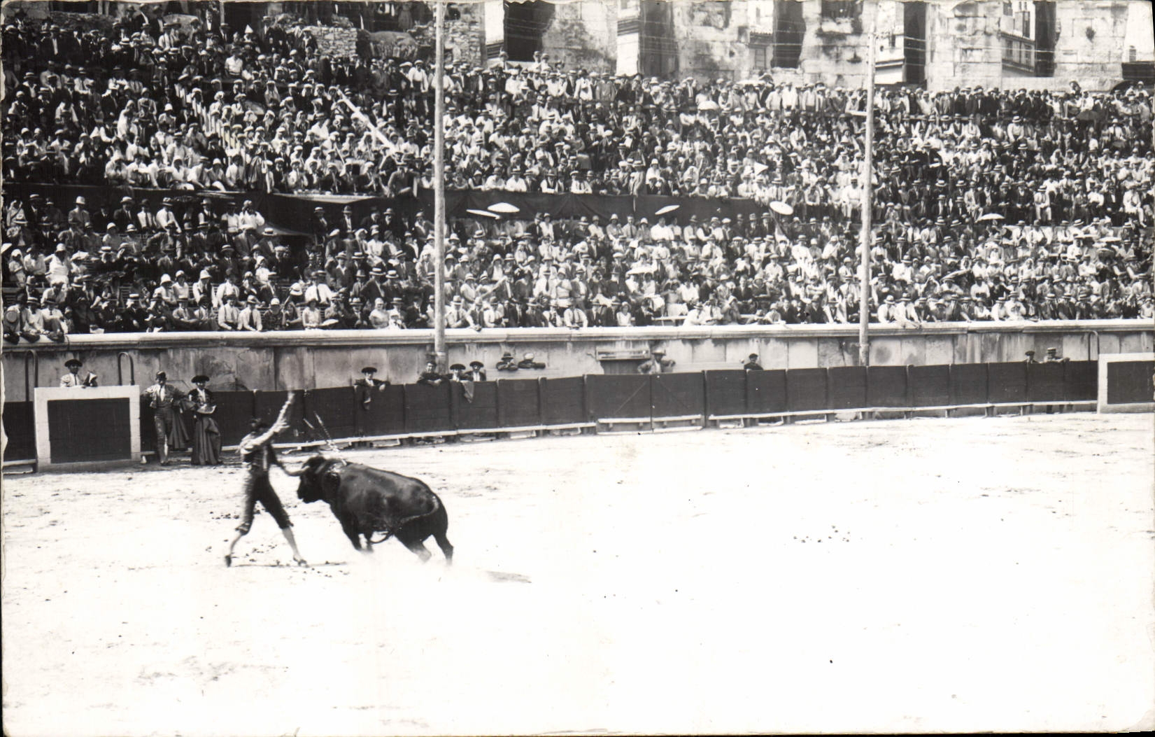CARTE PHOTO Corrida Course de taureaux 