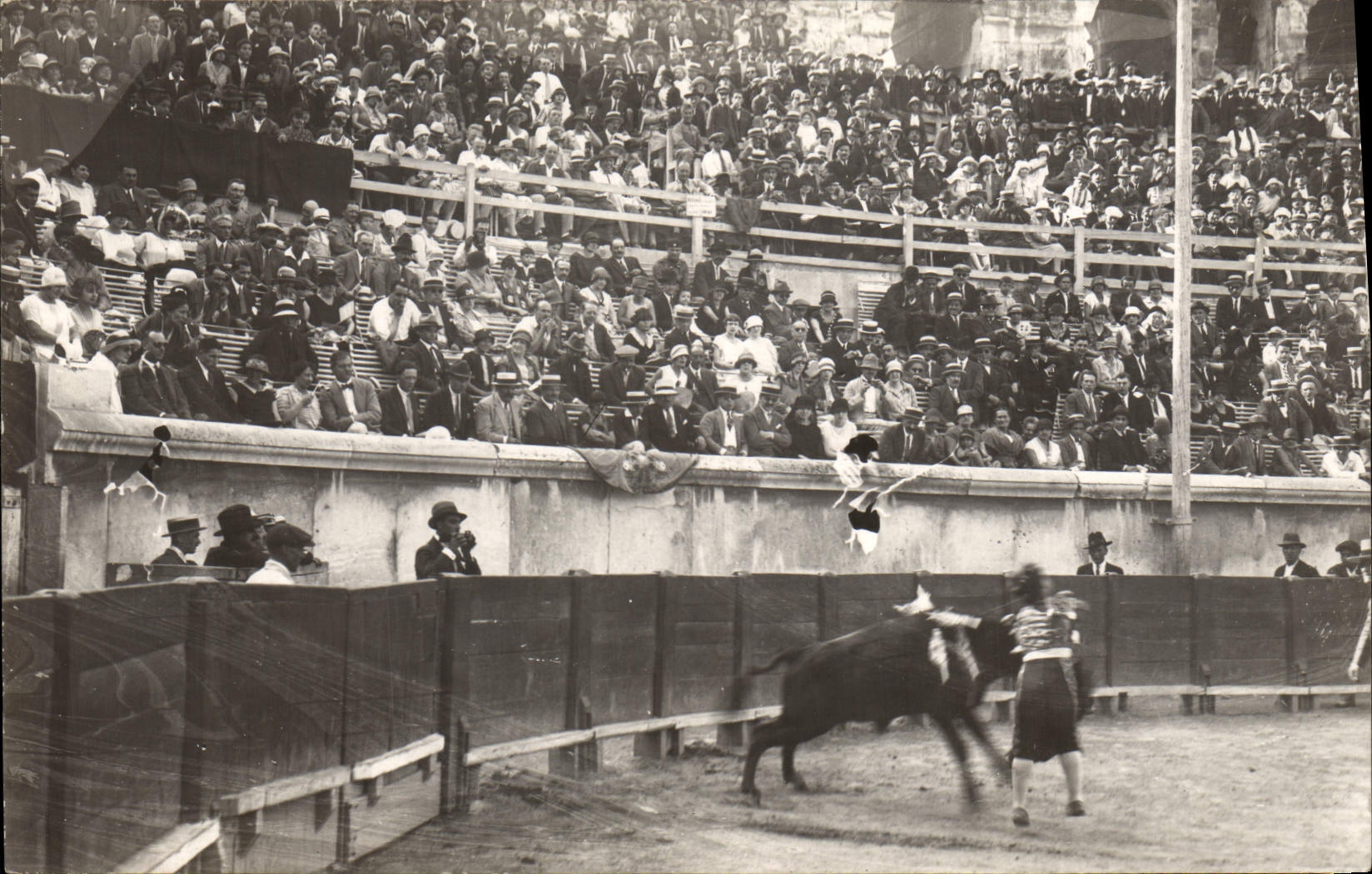 CARTE PHOTO Nimes Corrida Course de taureaux