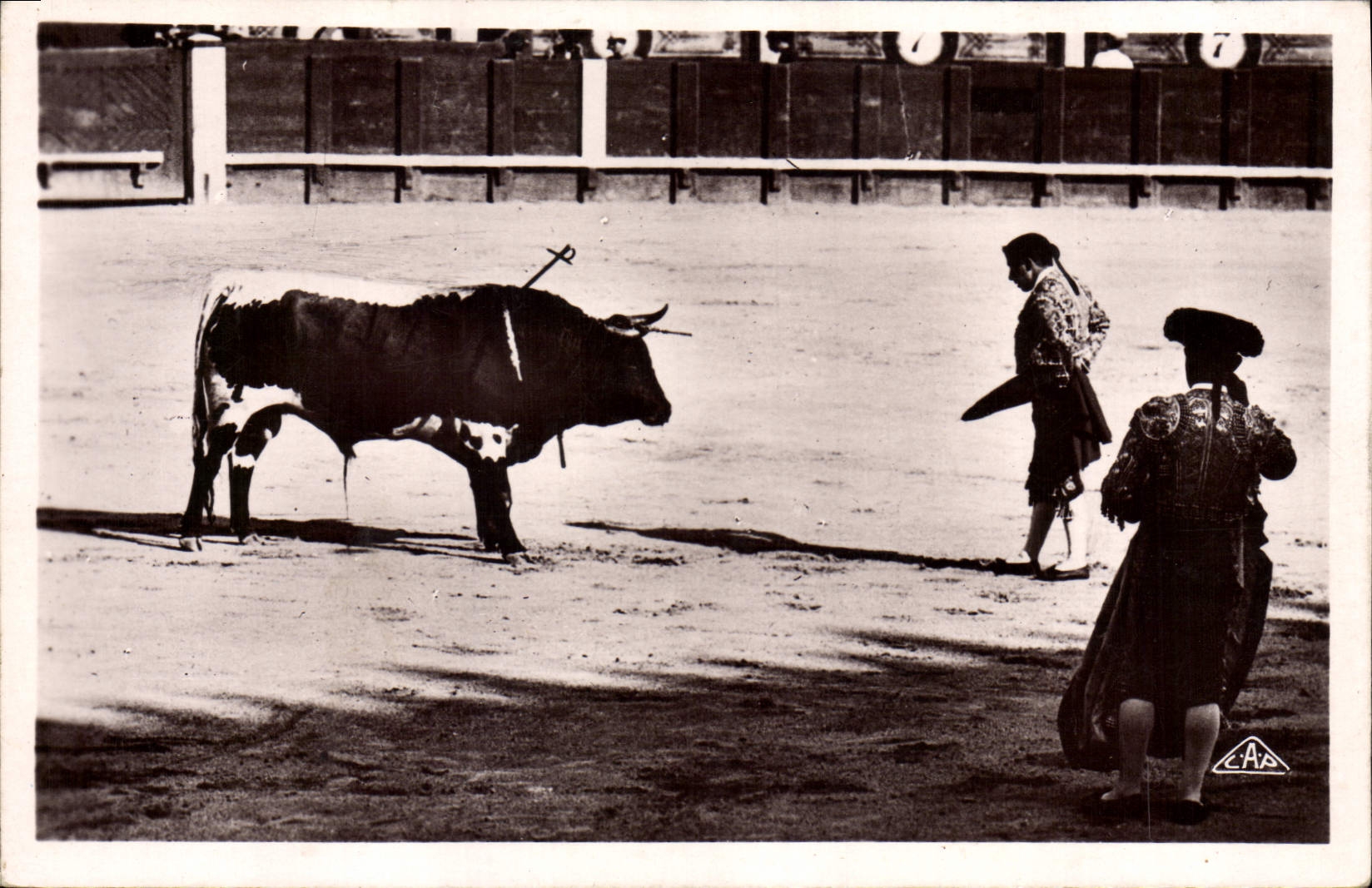 CPM Corrida Course de taureaux Apres l'estocade