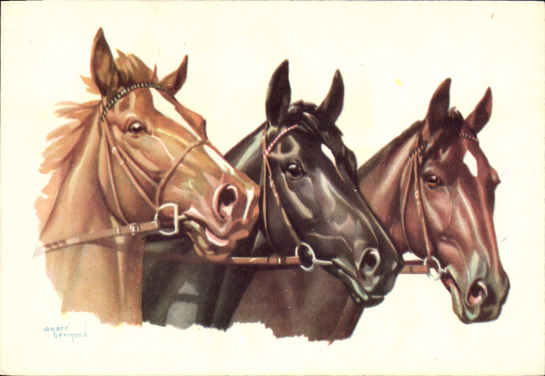 CPA Hippisme Equitation 