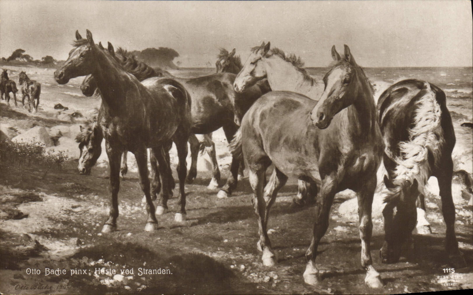 CPA Hippisme Equitation Otto Bache Chevaux 