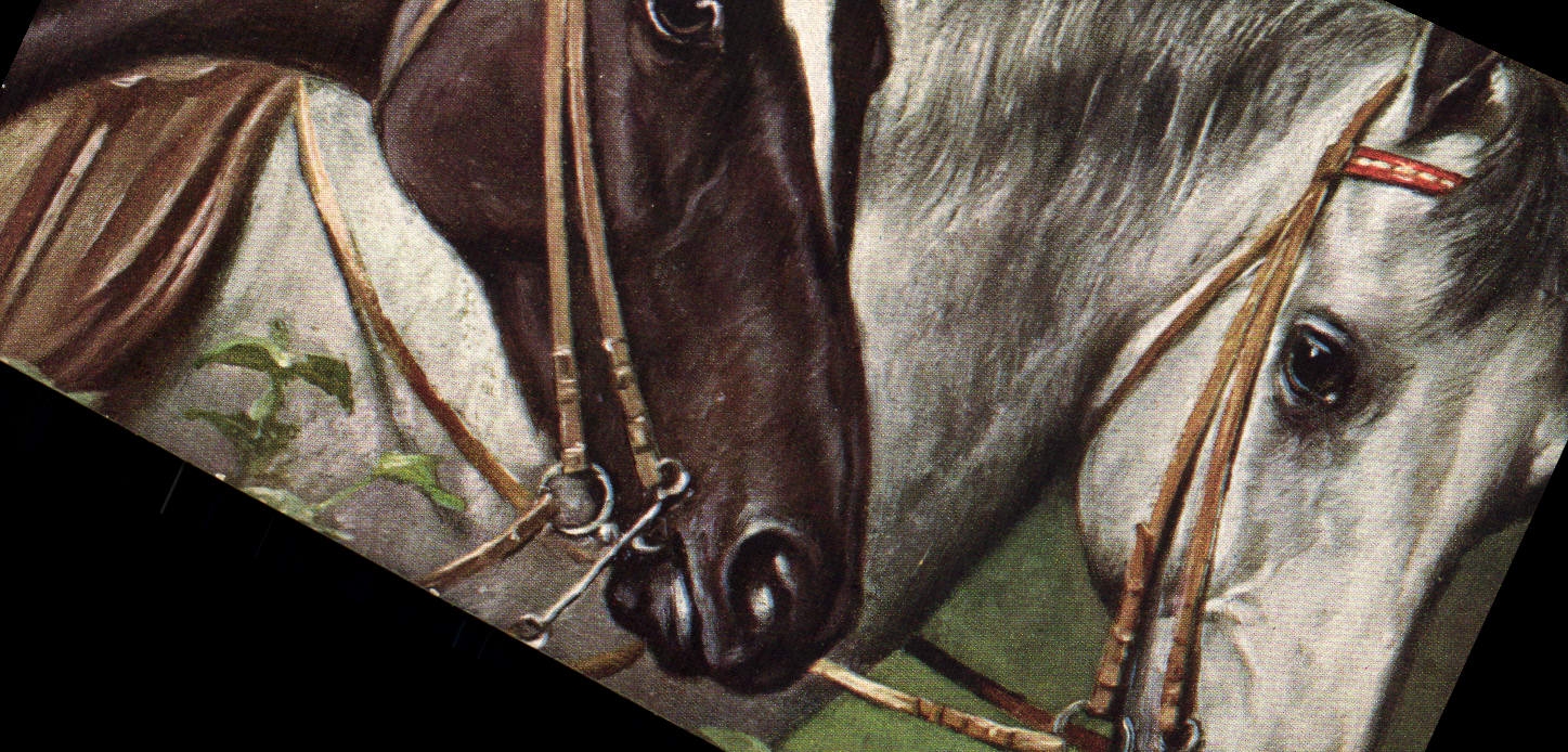 CPA Hippisme Equitation 