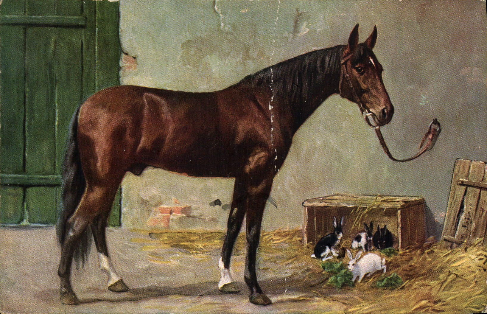 CPA Hippisme Equitation Cheval Lapins 