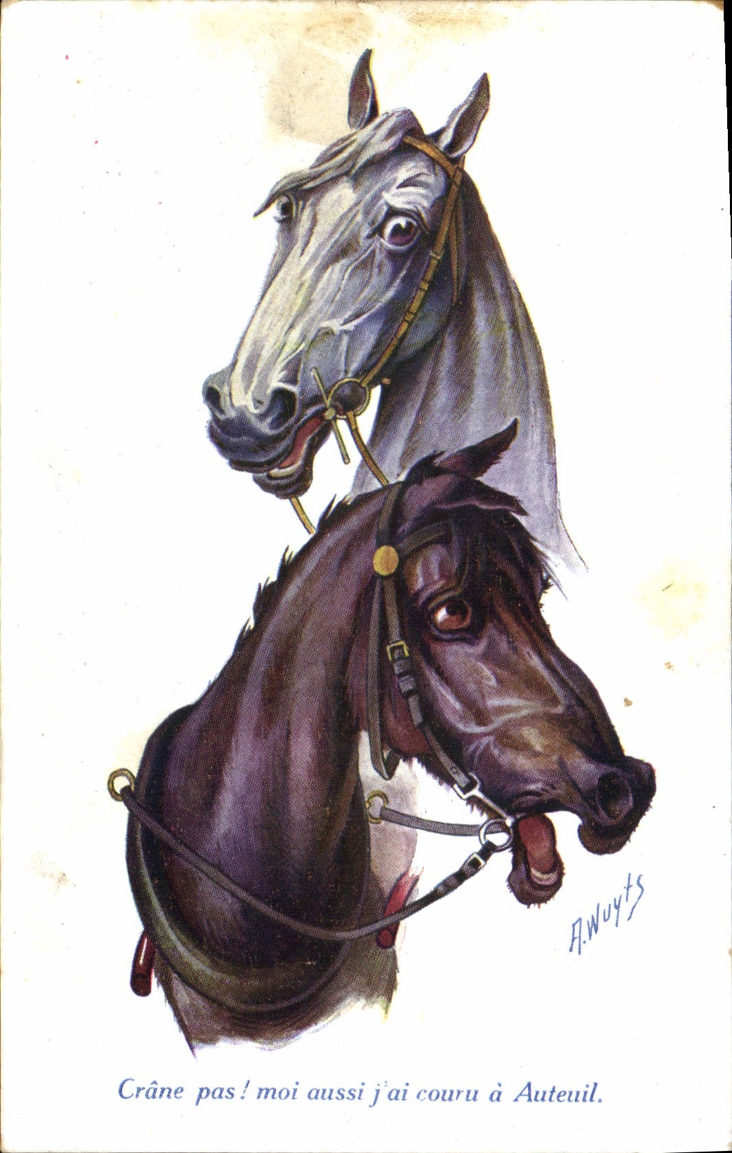 CPA Hippisme Equitation Chevaux Crane pas 