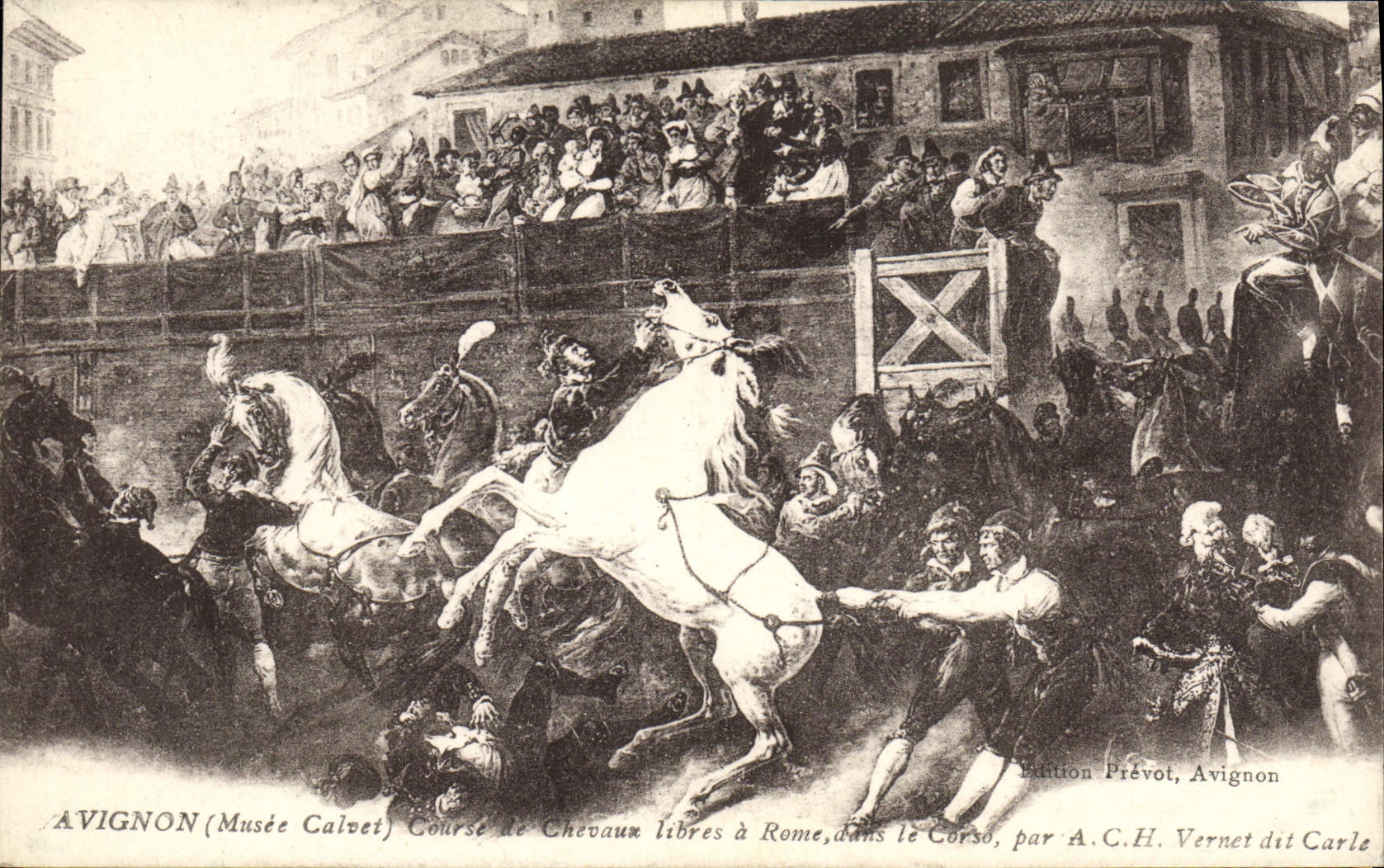 Postal Hípica Equitación Aviñón Vagar Calvet Curso de caballos libres en Roma en el Corso Vernet dice a Carle