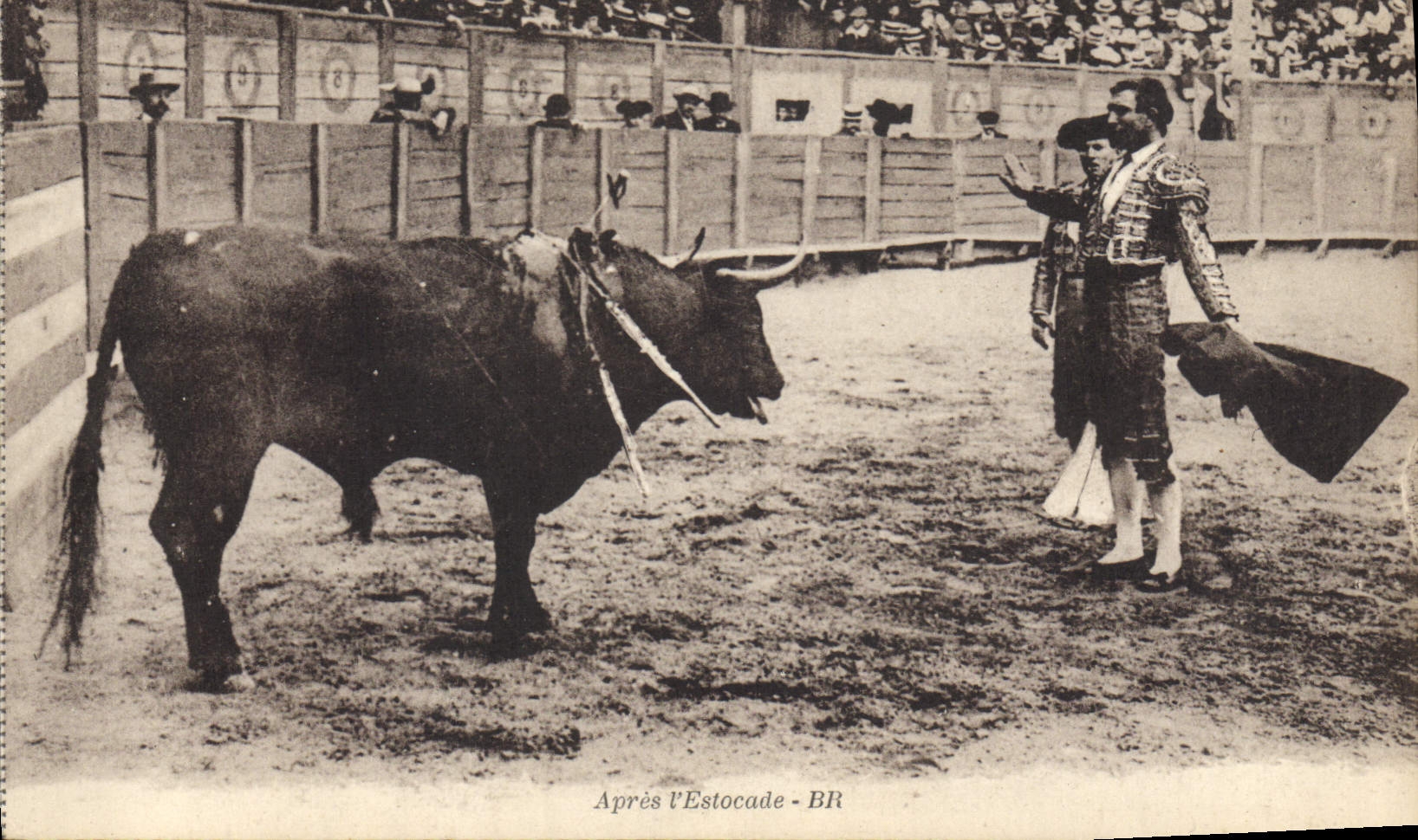 CPA Corrida Course de taureaux Apres l'estocade