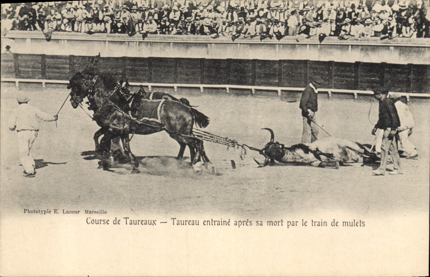 CPA Corrida Course de taureaux Taureau entraine apres sa mort par le train de mulets