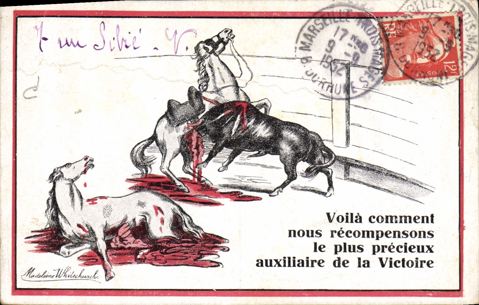 CPA Equitation Hippisme Cheval Victoire Militaria Taureau