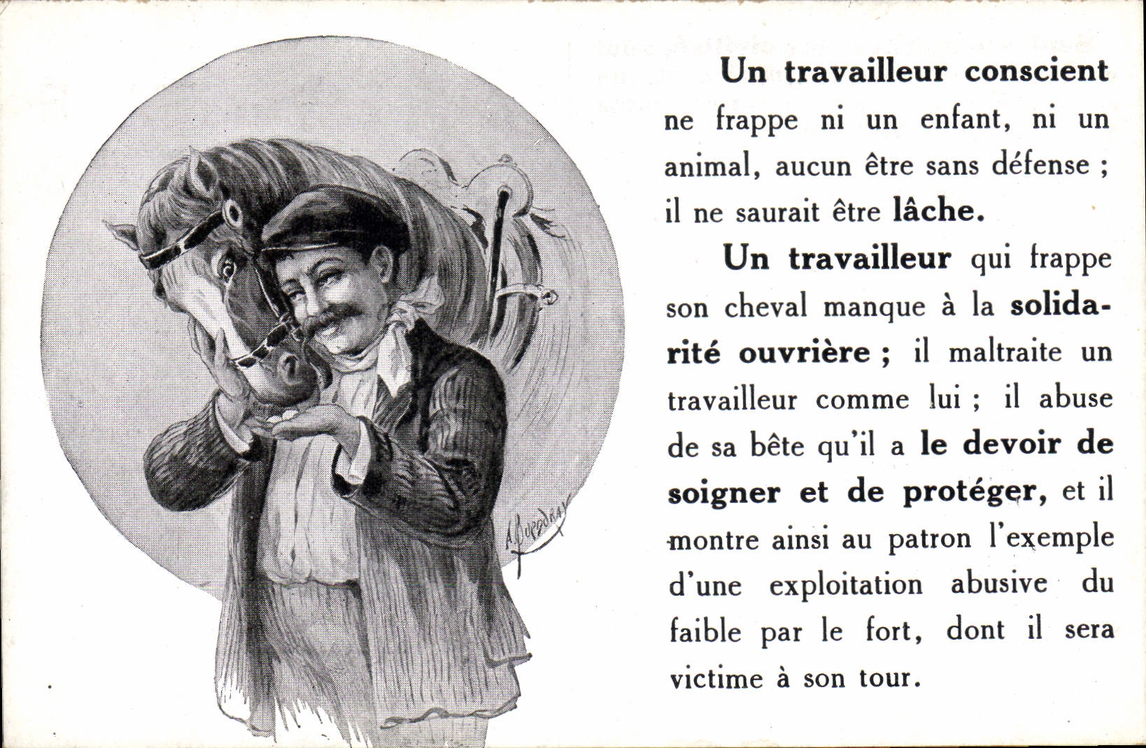 Postal Equitación Hípica Caballo un trabajador consciente