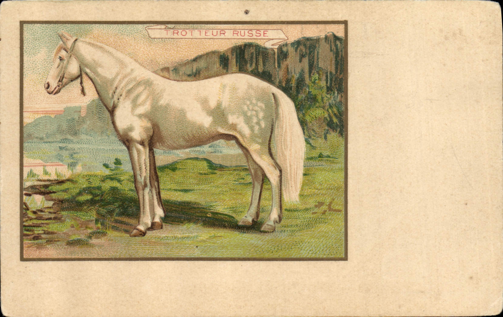 Postal Equitación Hípica Caballo Trotón rusa Rusia Russia