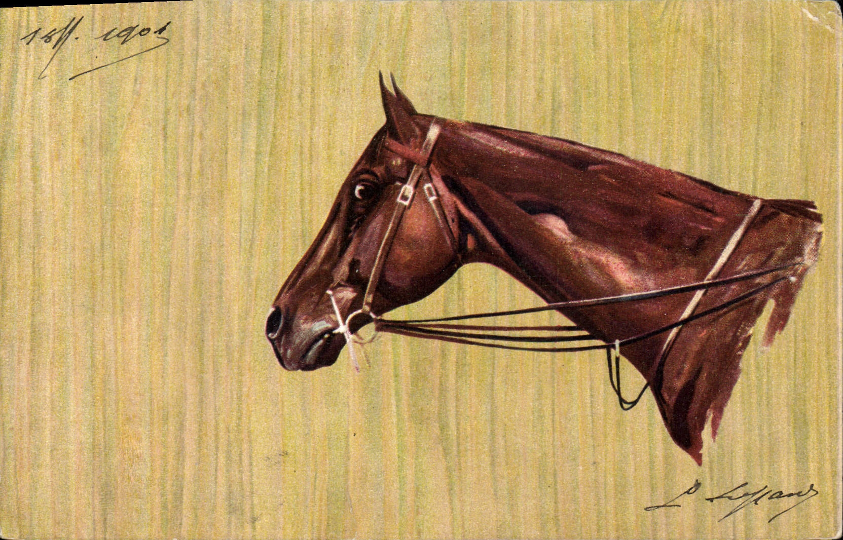 CPA Equitation Hippisme Cheval