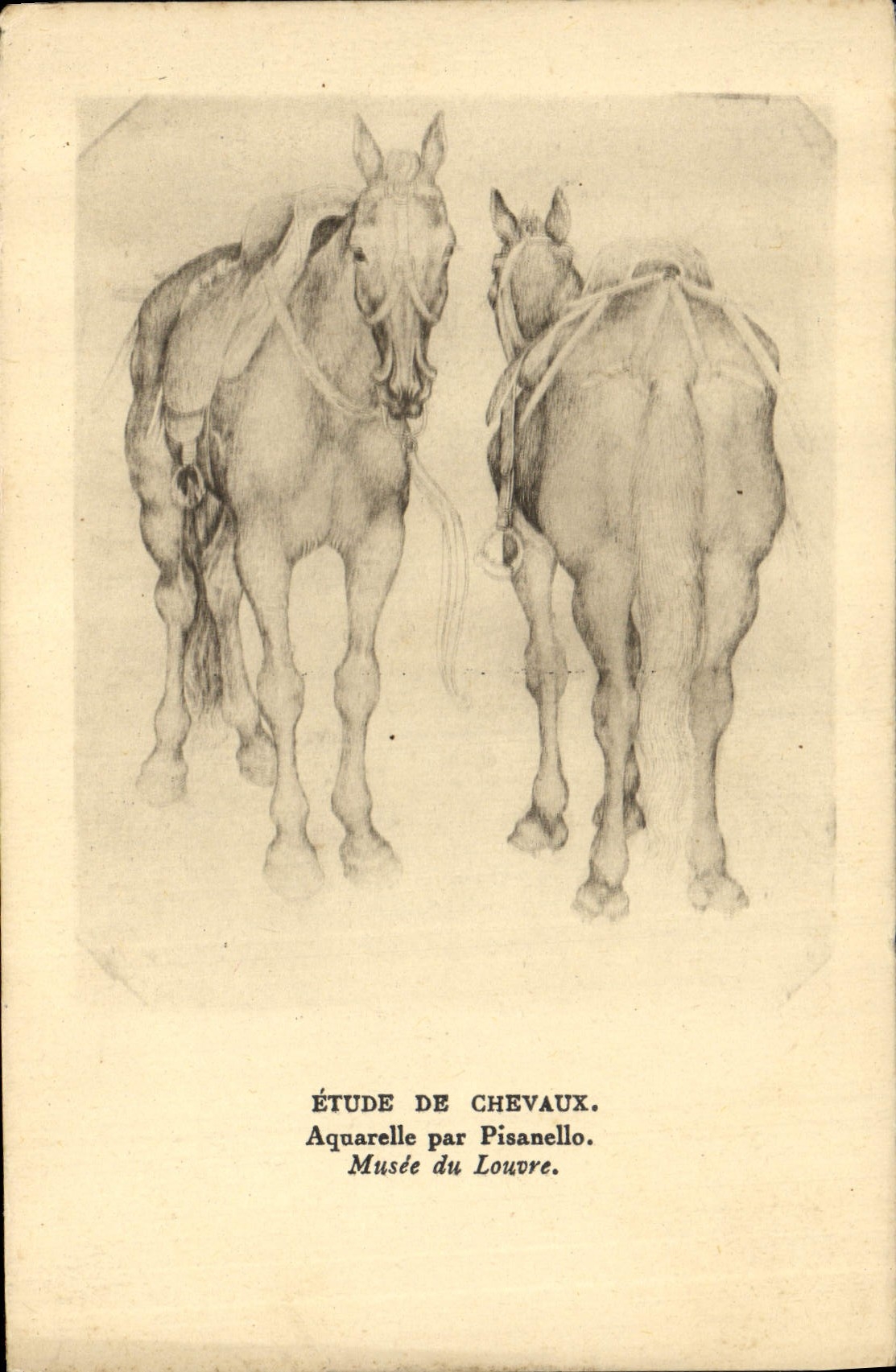 CPA Equitation Hippisme Cheval Etude de chevaux Aquarelle de Pisanello Musee du Louvre