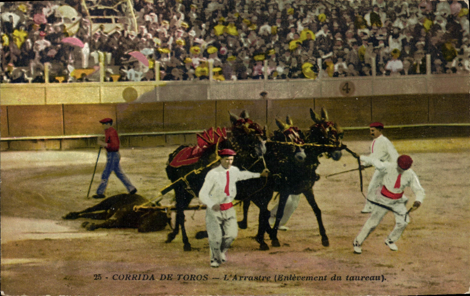 CPA Corrida Course de Taureaux L'arrastre Enlevement du taureau