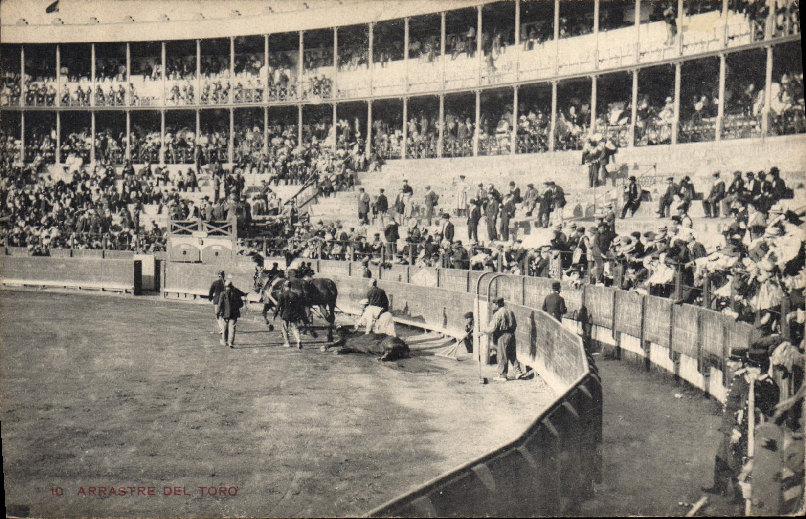 CPA Corrida Course de Taureaux Arrastre del toro