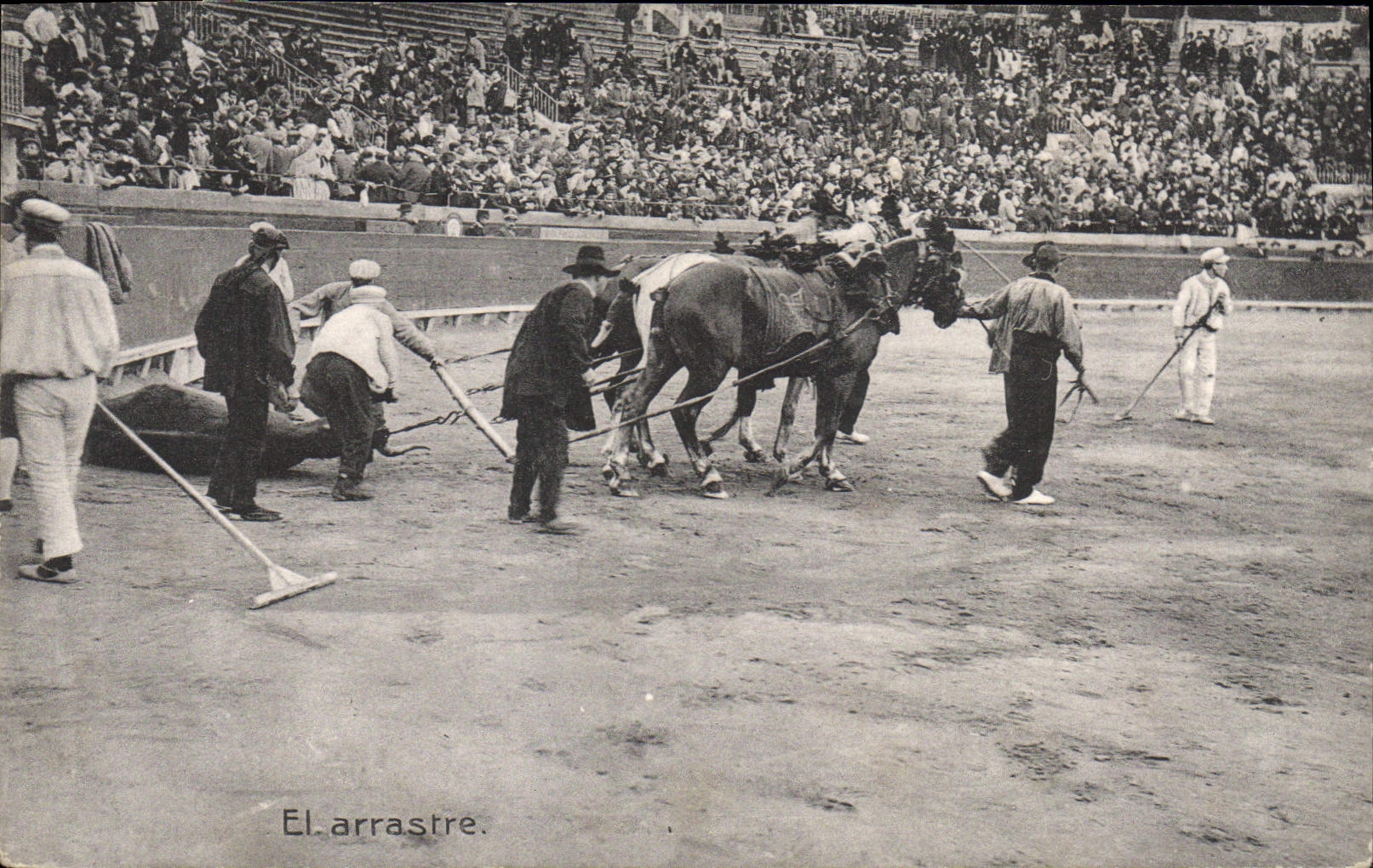 CPA Corrida Course de Taureaux le arrastre 