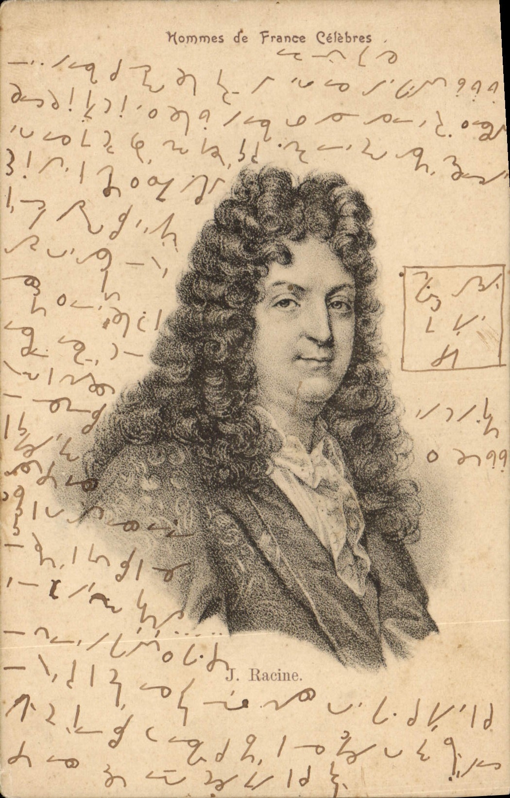 Vintage Postcard Root