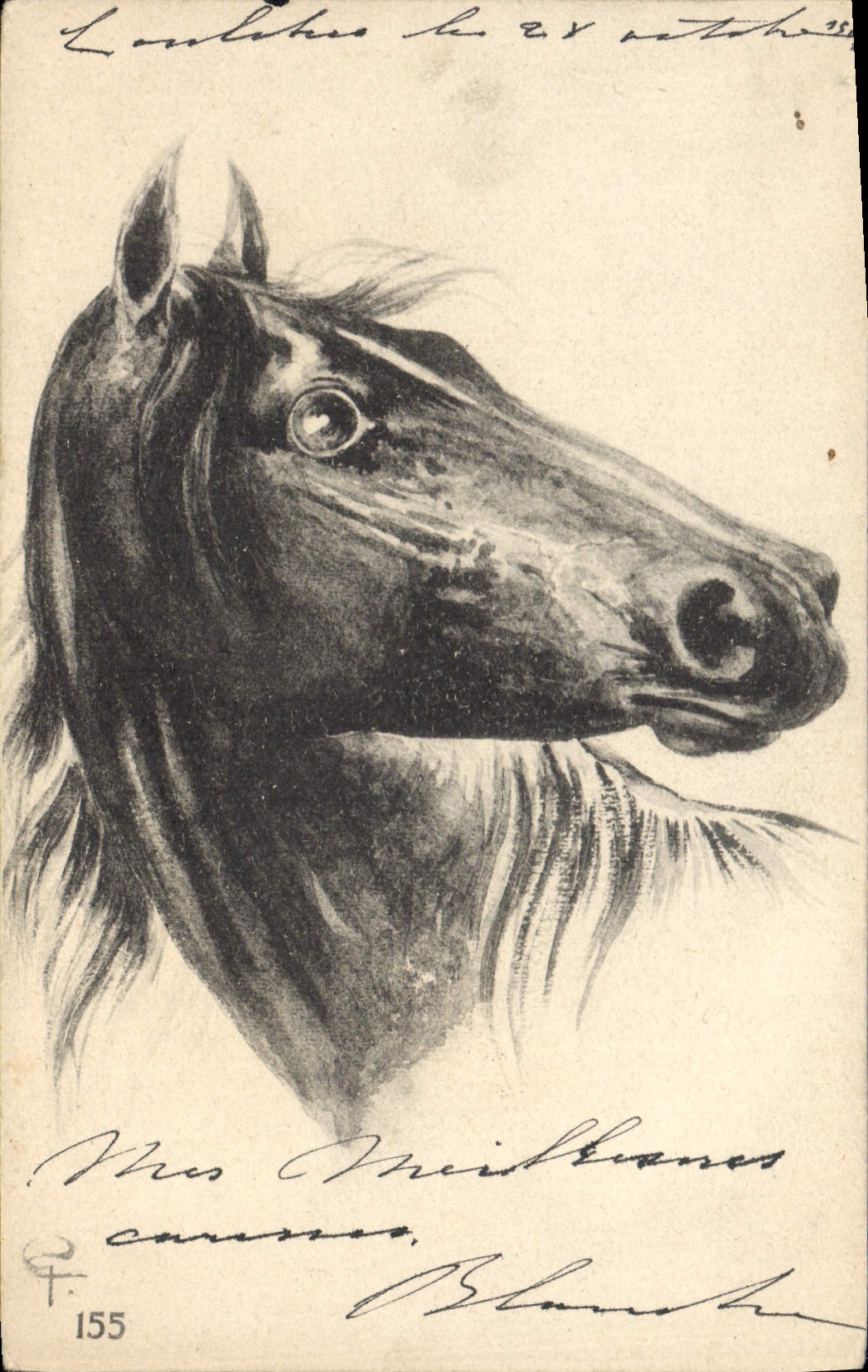 CPA Equitation Hippisme Cheval 