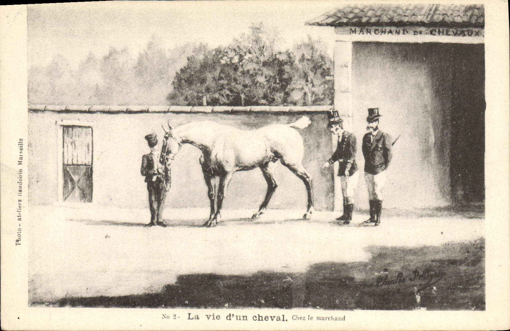 CPA Equitation Hippisme La vie d'un Cheval