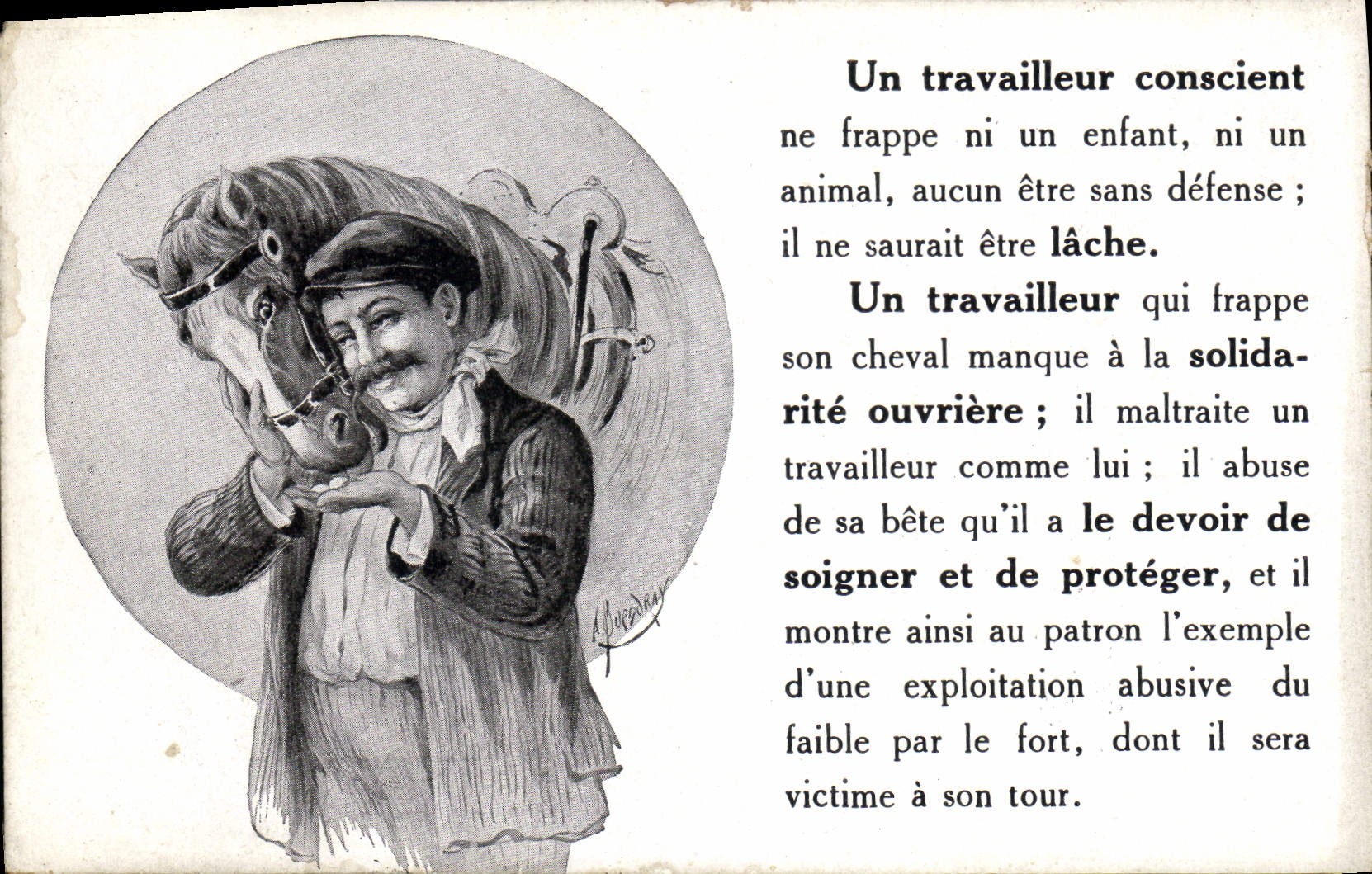 CPA Equitation Hippisme Cheval Un travailleur conscient