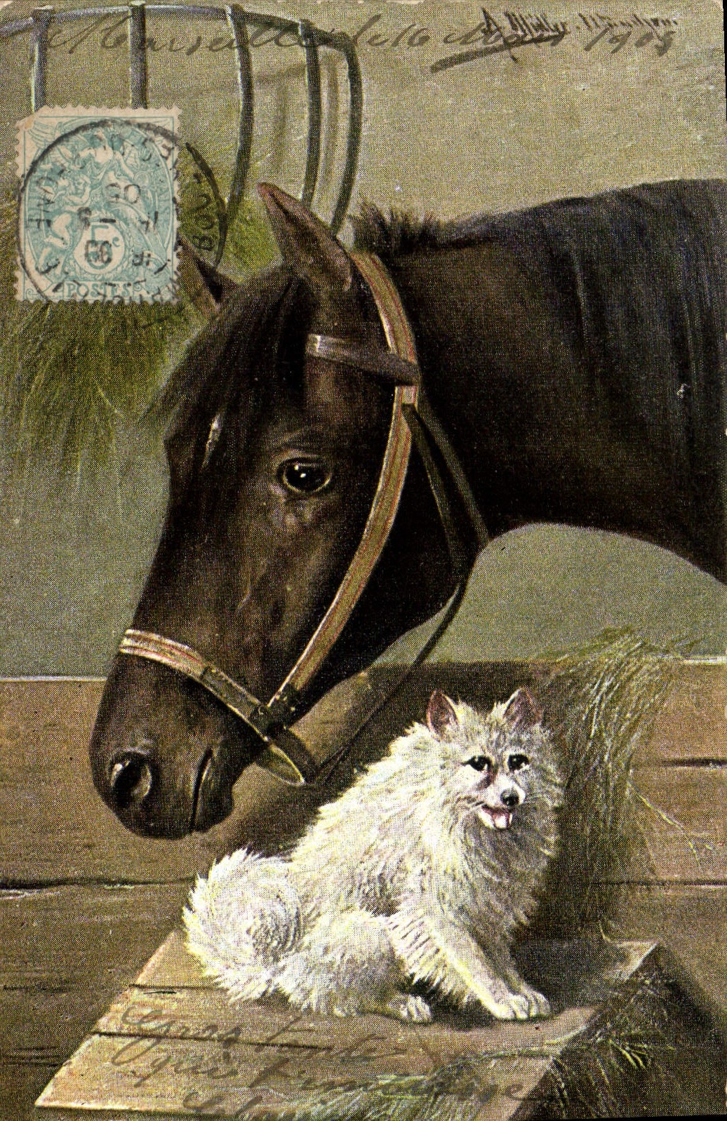 CPA Equitation Hippisme Cheval Chien 