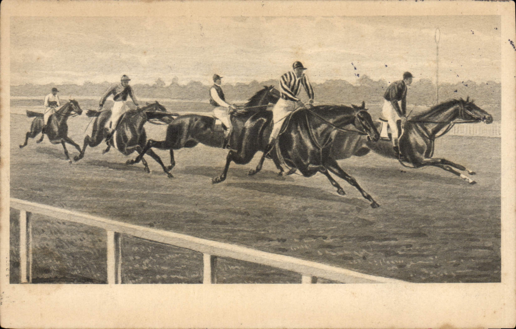 CPA Equitation Hippisme Cheval 