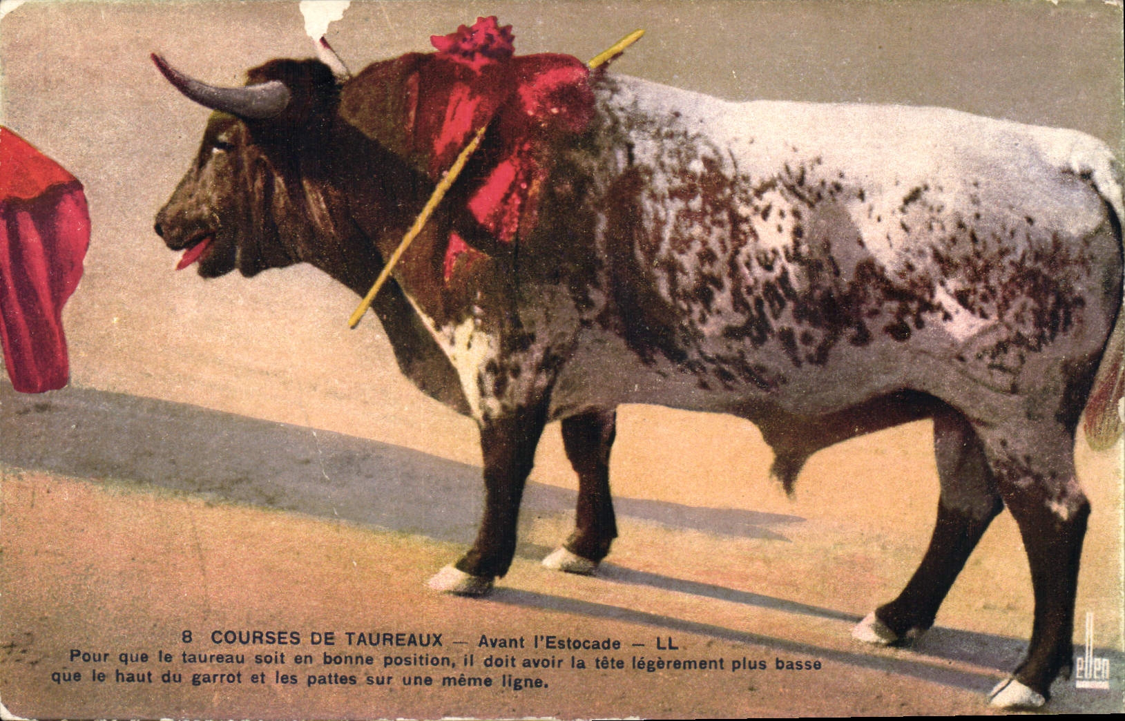 CPA Corrida Course de Taureaux Avant l'estocade 