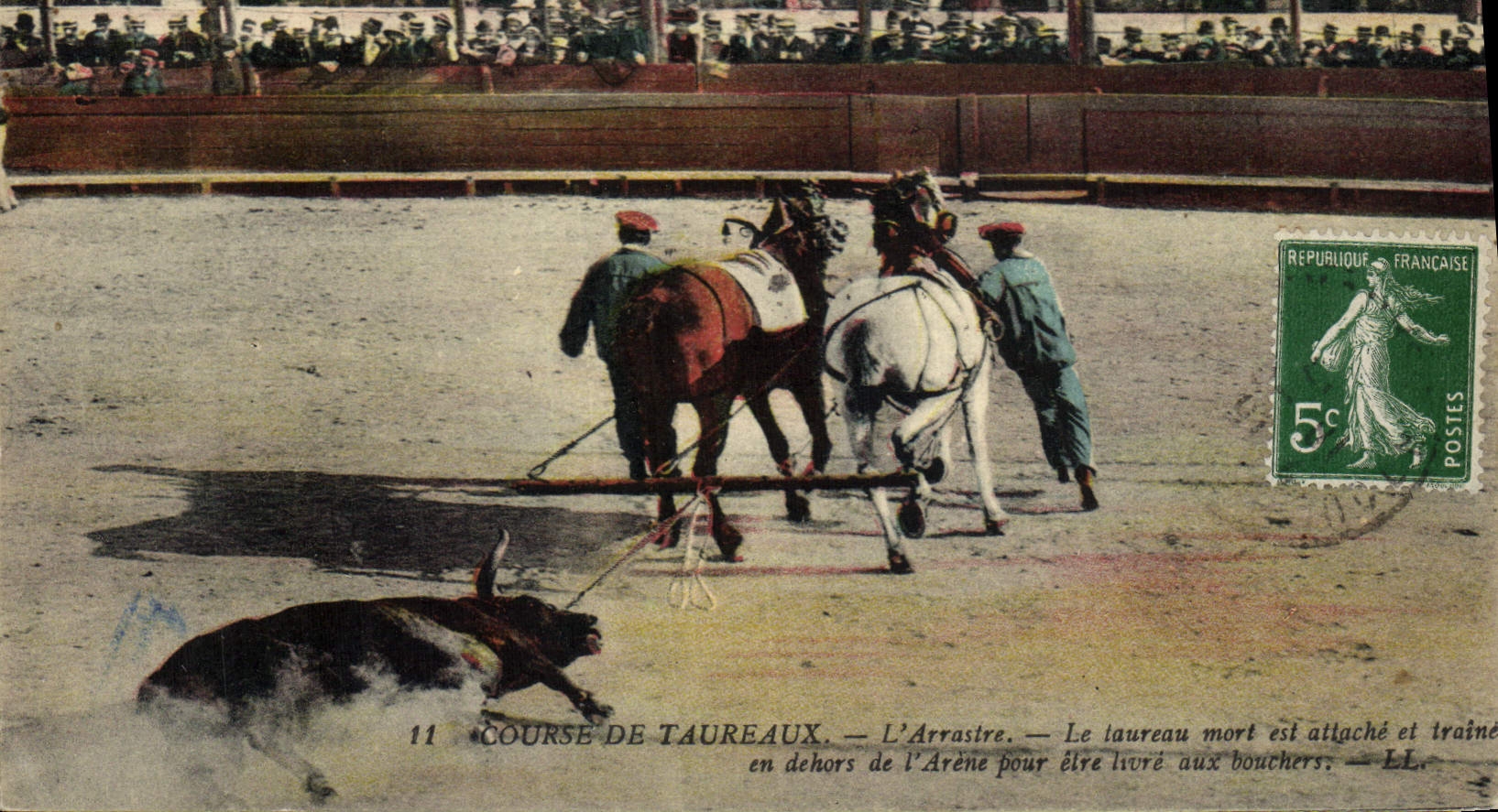 Postal Corrida Corrida de toros el arrastre el toro muerto es lazo y arrastre fuera de la arena