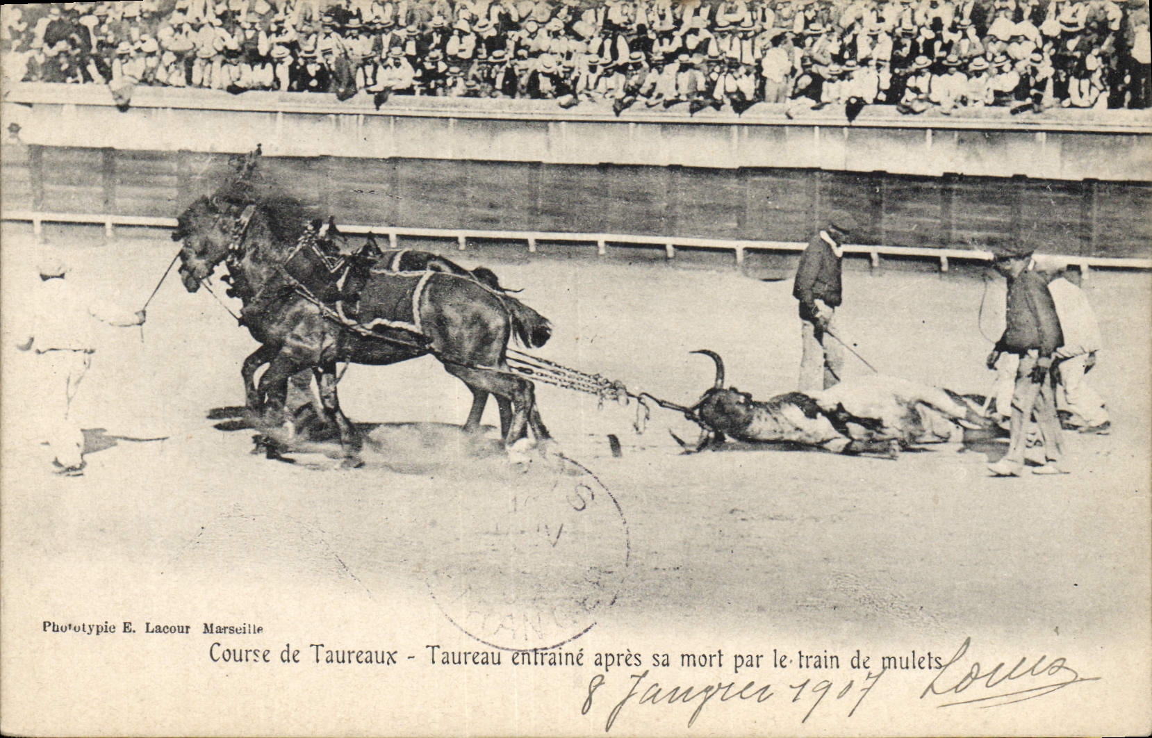CPA Corrida Course de Taureaux Taureau entraine apres sa mort par le train de mulets