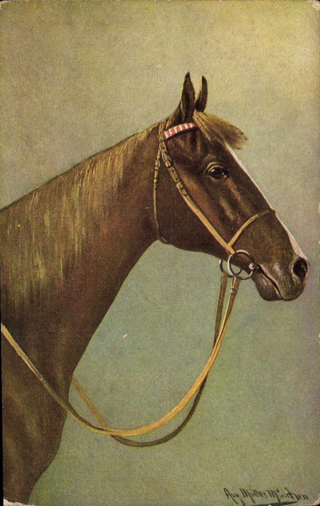 CPA Cheval Equitation Hippisme 