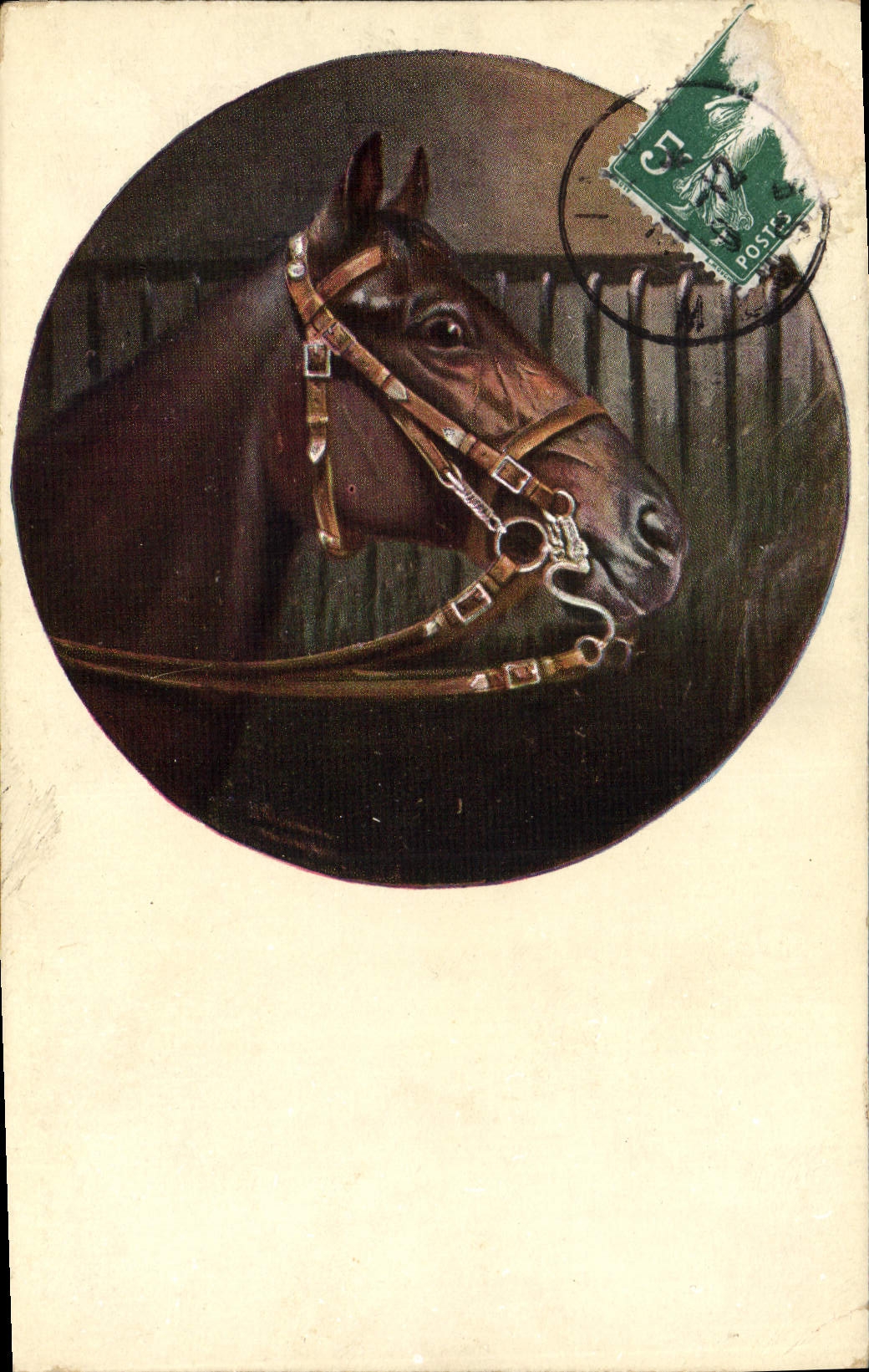 CPA Cheval Equitation Hippisme 