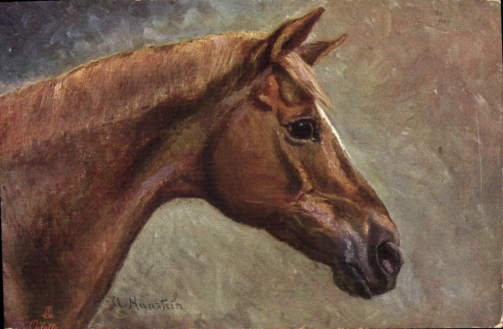 CPA Cheval Equitation Hippisme 