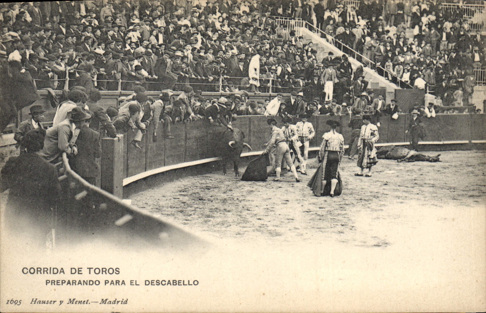 CPA Corrida Course de taureaux Preparando para el Descabello 