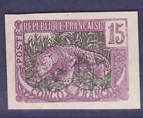 Congo Essai 15c Panthere