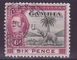 Gambie Gambia Cancelled Basse 6 d value Elephant