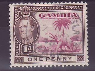 Gambie Gambia Cancelled Macarthy Island 1d Elephant