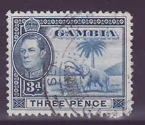 Gambie Gambia 3p Elephant with Telegraph cancel