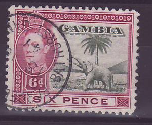Gambie Gambia 6p Elephant Parcel Post Bathurst
